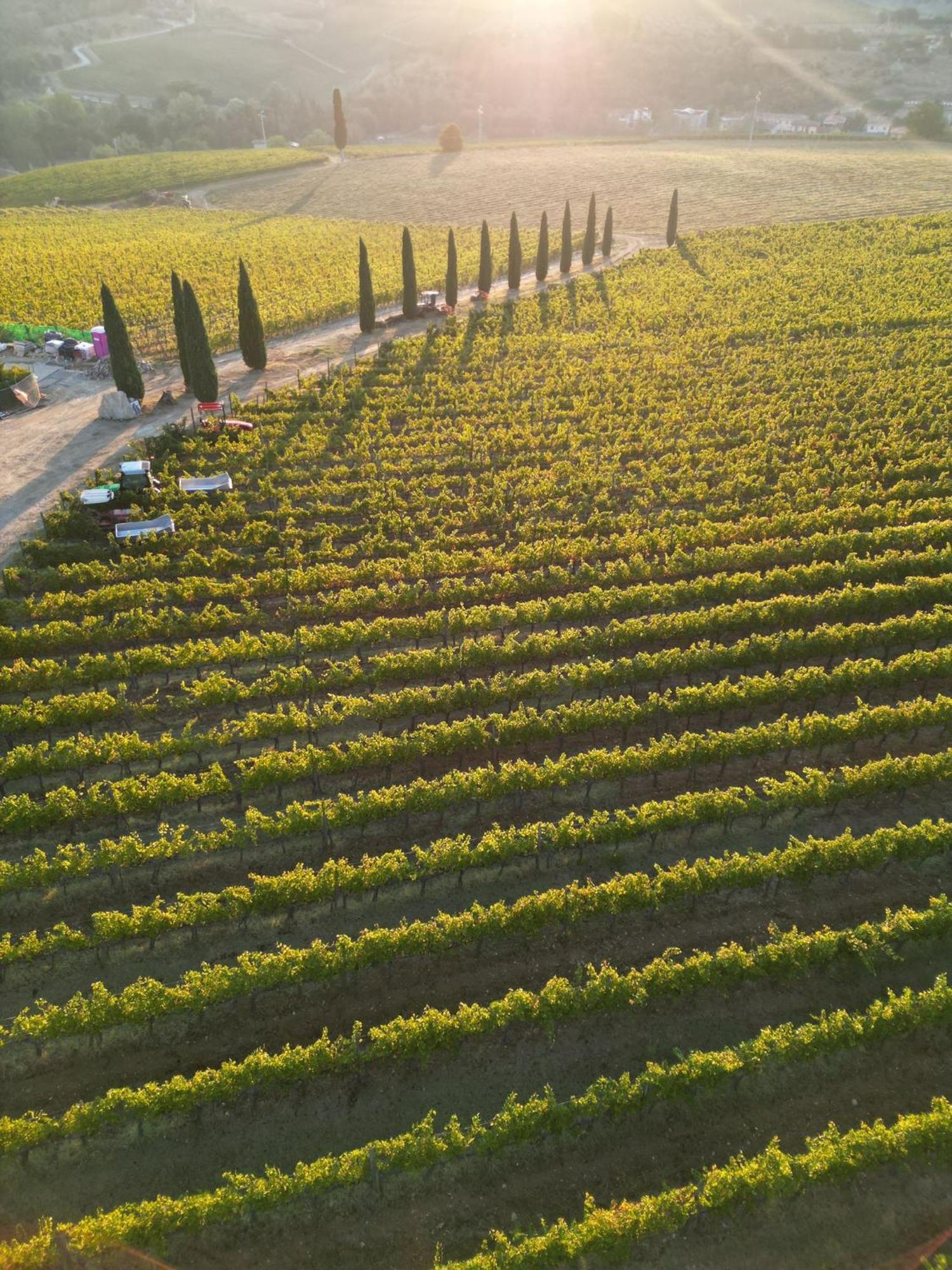 Villa Viticcio Greve in Chianti Exterior foto